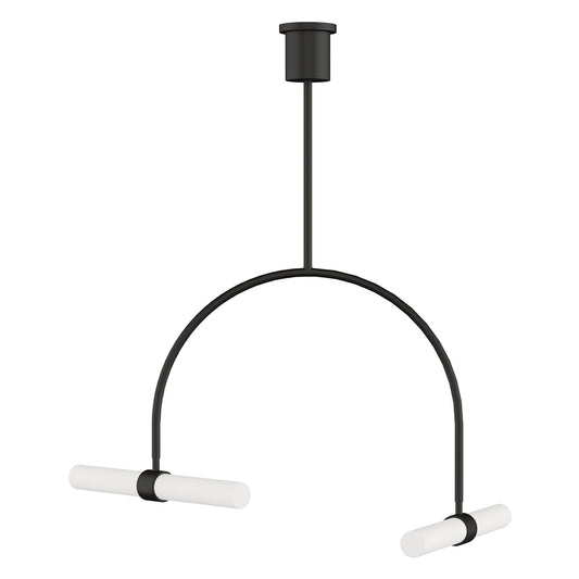 Visual Comfort Calumn Làmpada de Sostre de 2 Llums Ampla