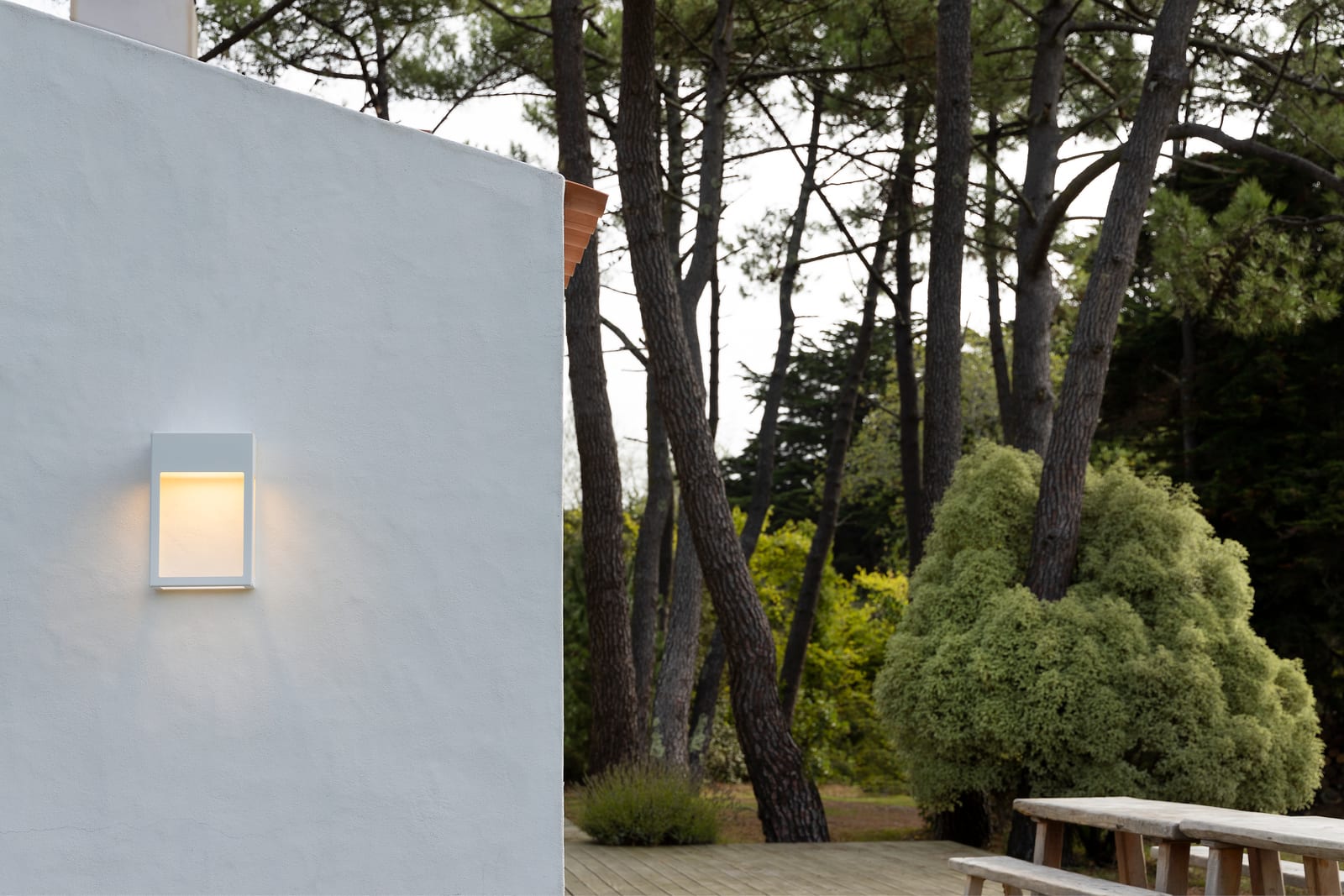 Aplic LED Roger Pradier Hogar sobre una paret blanca al costat de pins