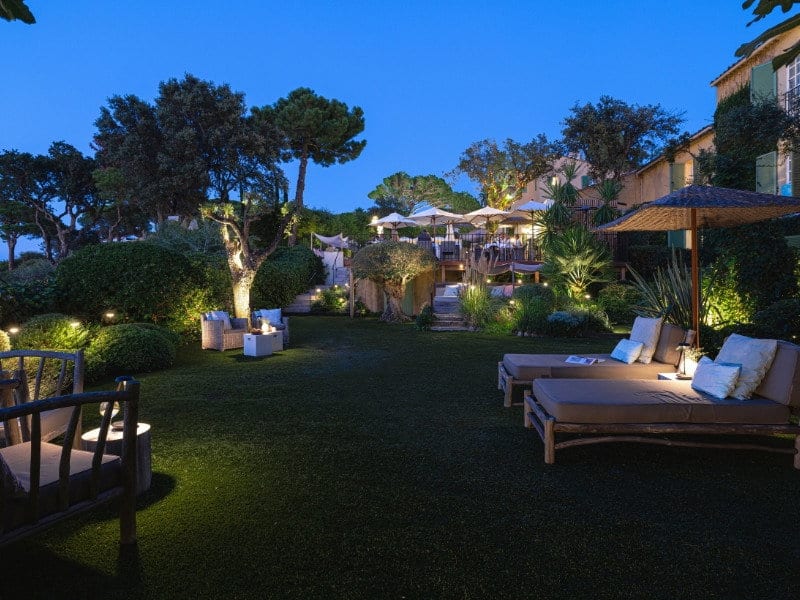 Olivera il·luminada des de baix amb in-lite al jardí d'un hotel provençal