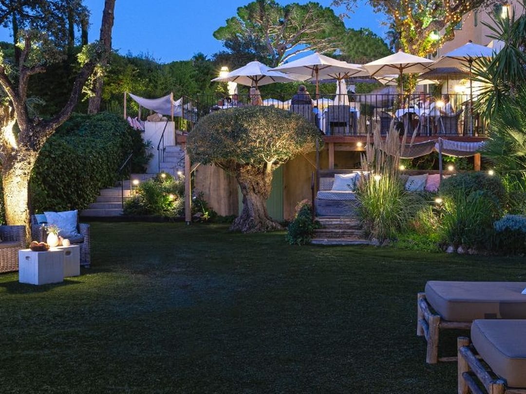Terraza del jardín de un hotel bajo pinos piñoneros al atardecer