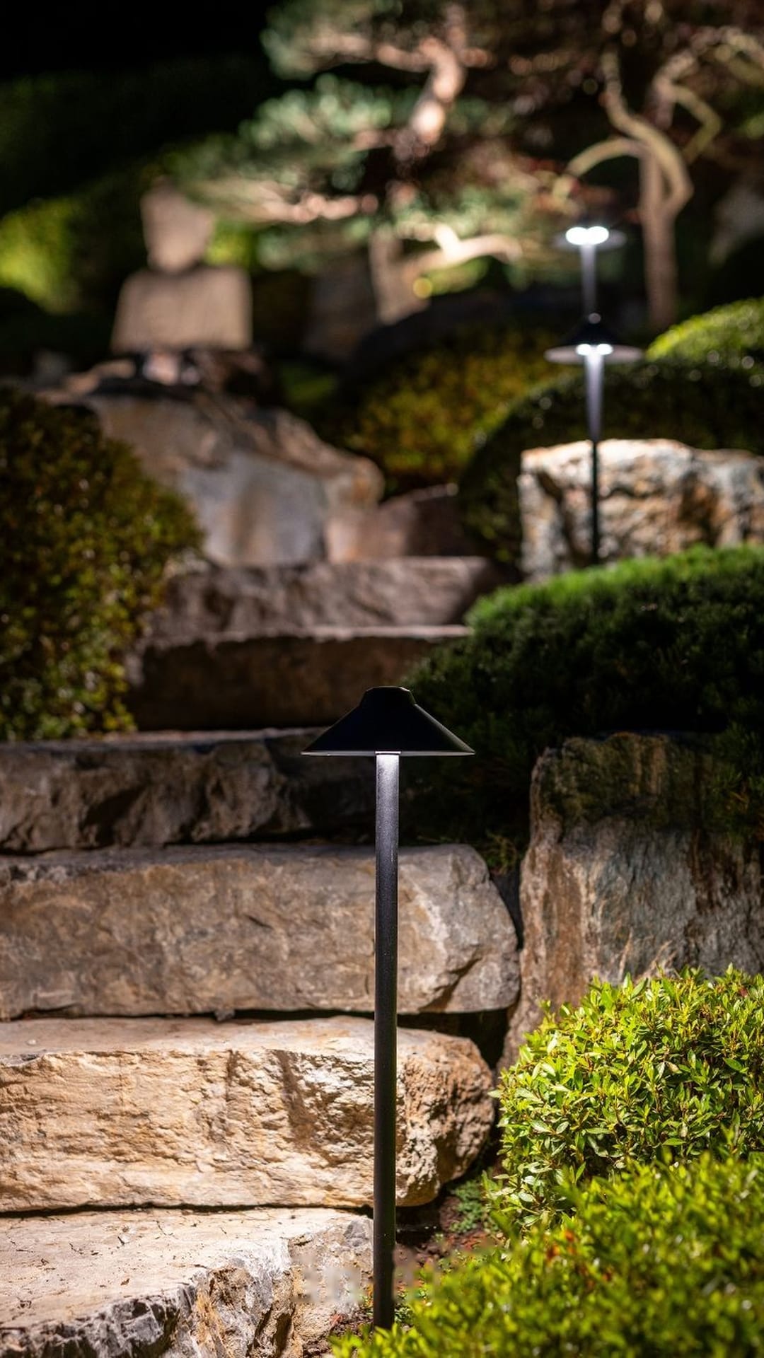 Stone steps lit by low path lights
