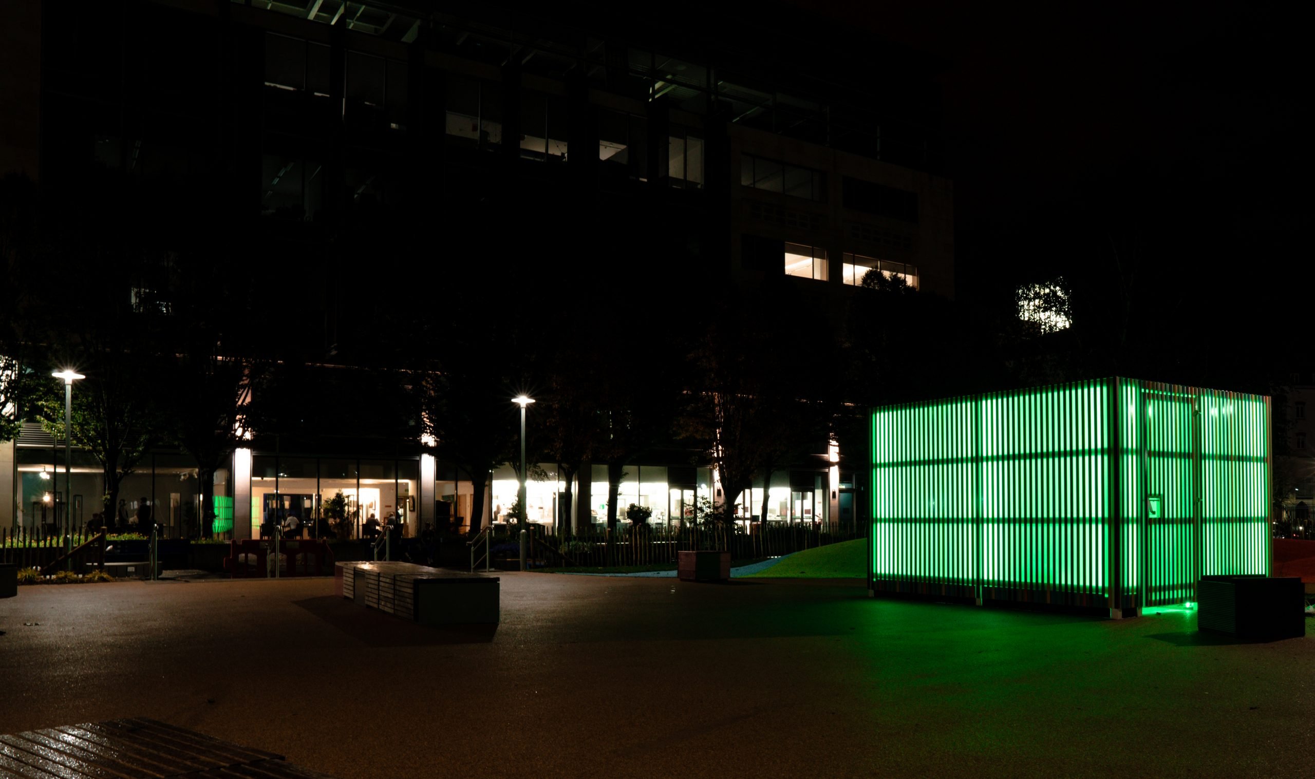 Cathedral Gardens — proyecto de iluminación, fotografía 3